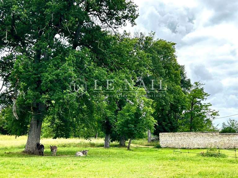 Château Avallon - 25 chambres - 1500m²