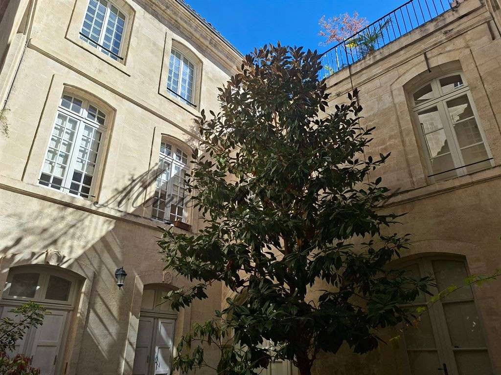 Apartment Avignon