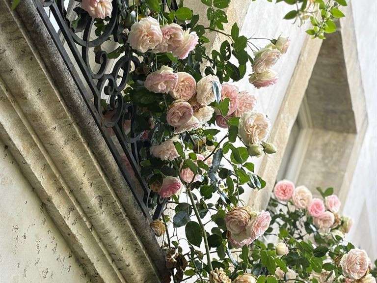 Hôtel particulier Avignon