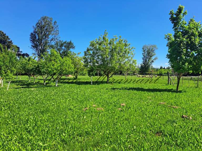Maison Avignon - 8 chambres - 700m²