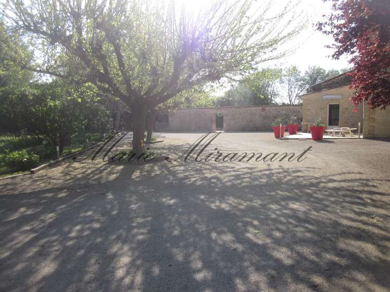 House Avignon - 7 bedrooms - 365m²