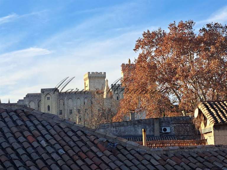 Maison Avignon - 5 chambres - 300m²