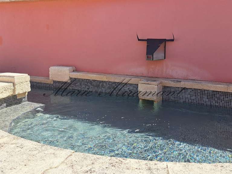 Maison Avignon - 5 chambres - 500m²