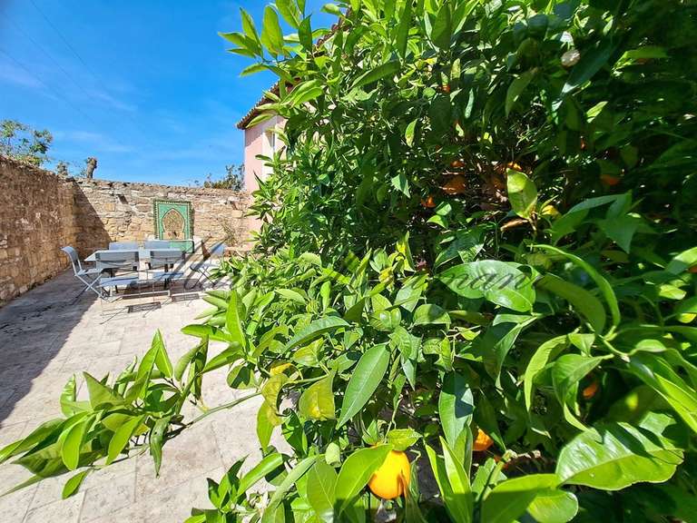 Maison Avignon - 5 chambres - 500m²