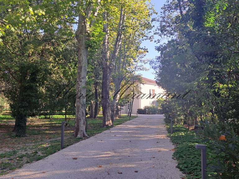 Maison Avignon - 5 chambres - 320m²