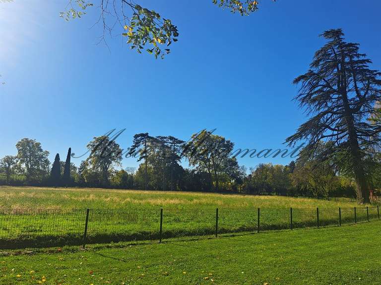 Maison Avignon - 5 chambres - 320m²