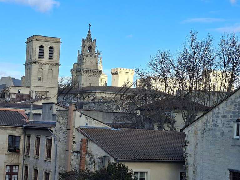 Maison Avignon - 9 chambres - 400m²