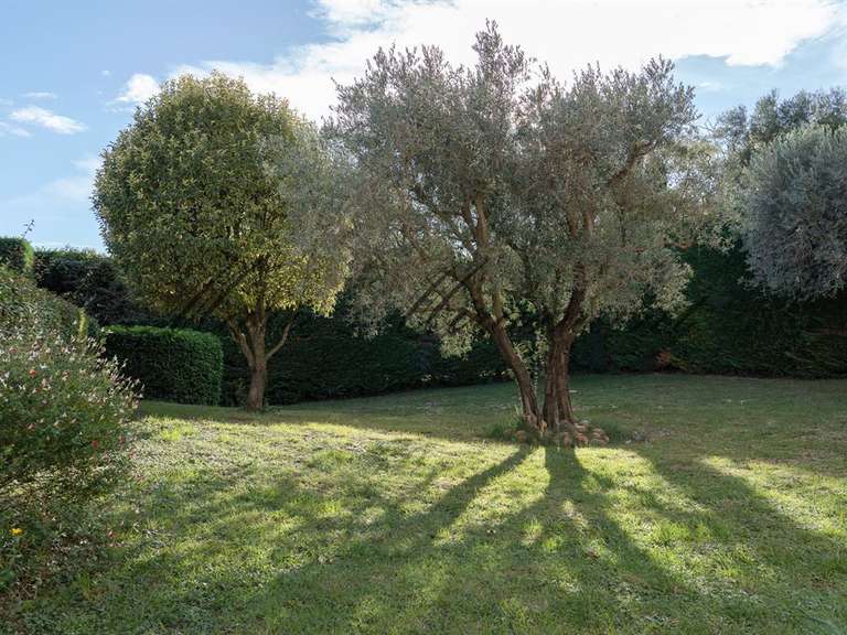 House Avignon - 5 bedrooms - 280m²