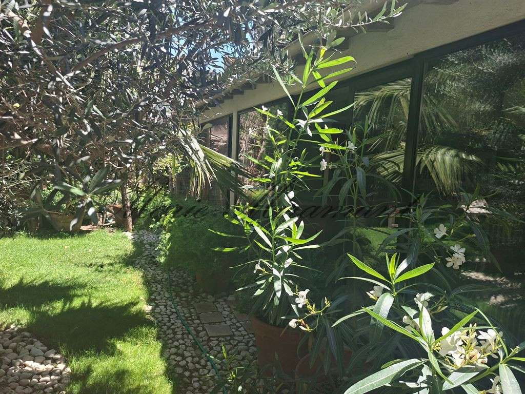 Maison Avignon