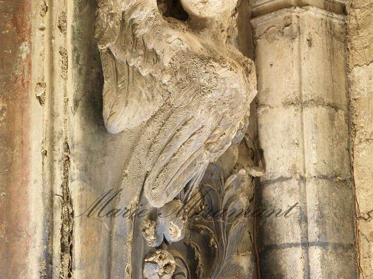 Maison Avignon - 7 chambres - 630m²