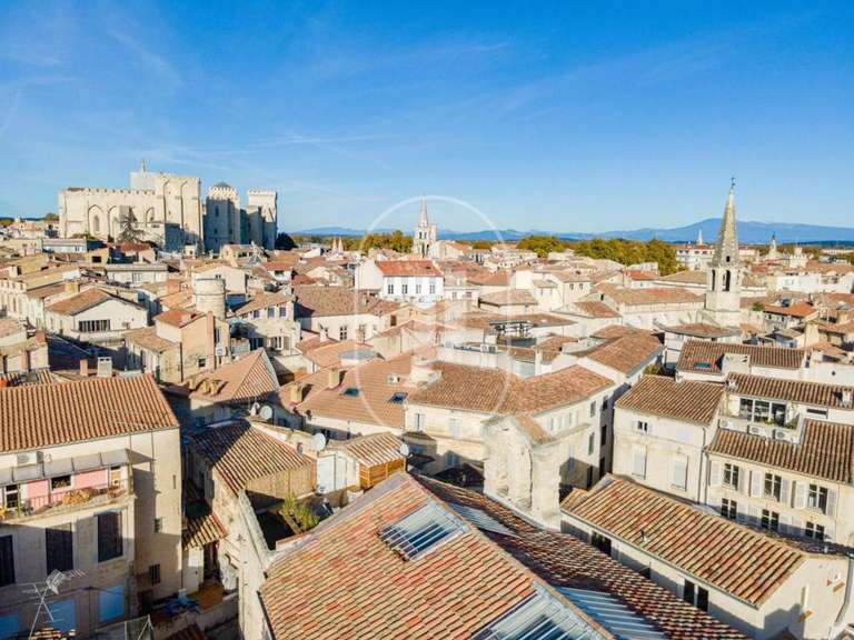 House Avignon - 5 bedrooms - 700m²