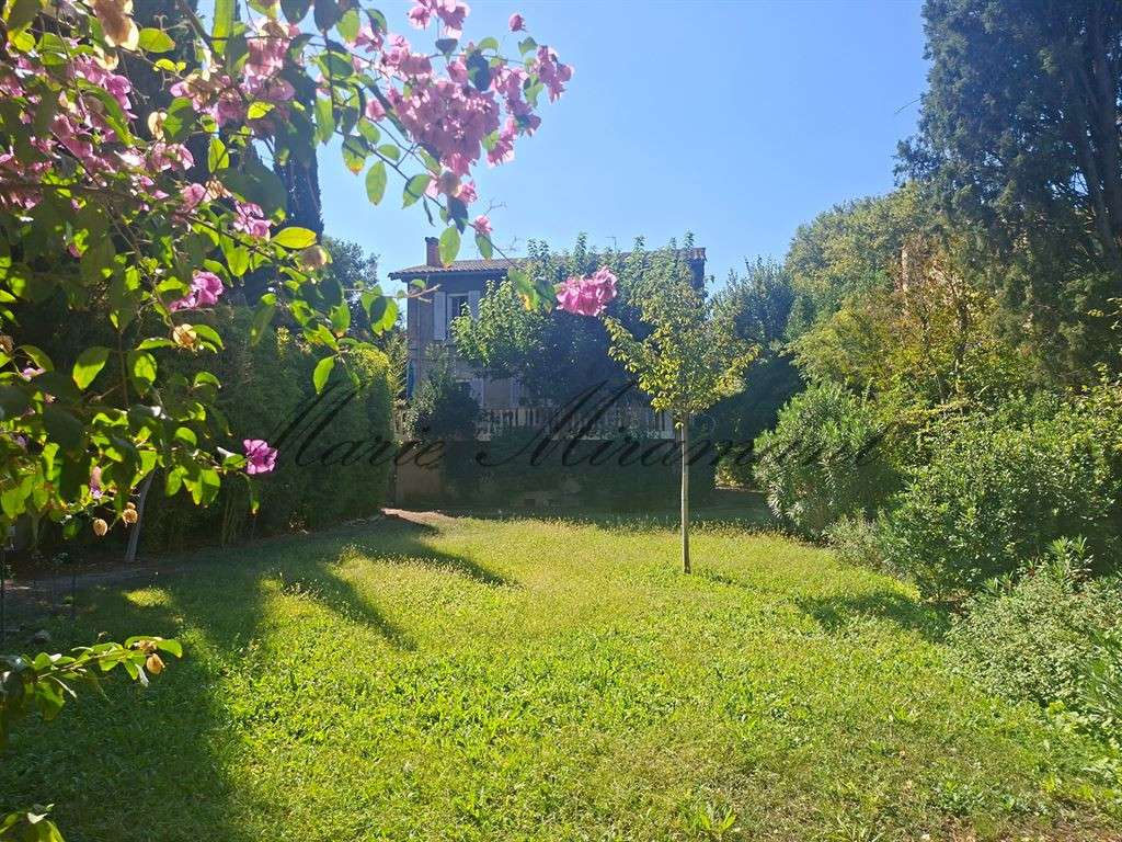 House Avignon