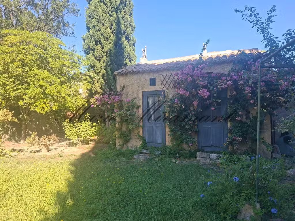 House Avignon