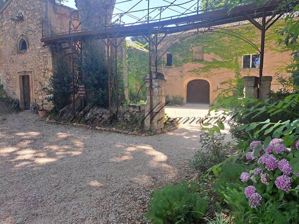 Property Avignon