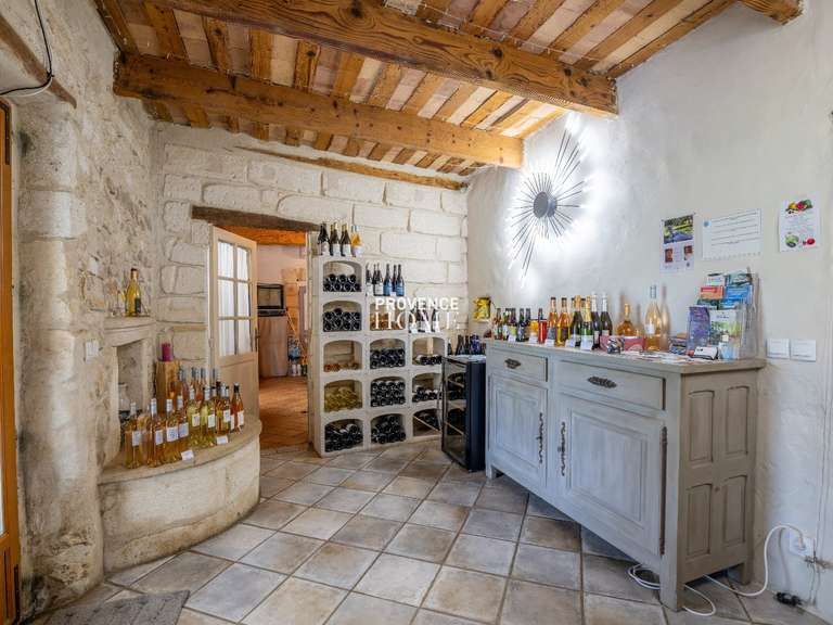 Propriété Avignon - 7 chambres - 256m²