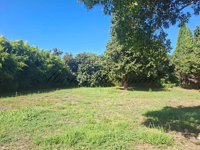 Propriété Avignon - 400m²