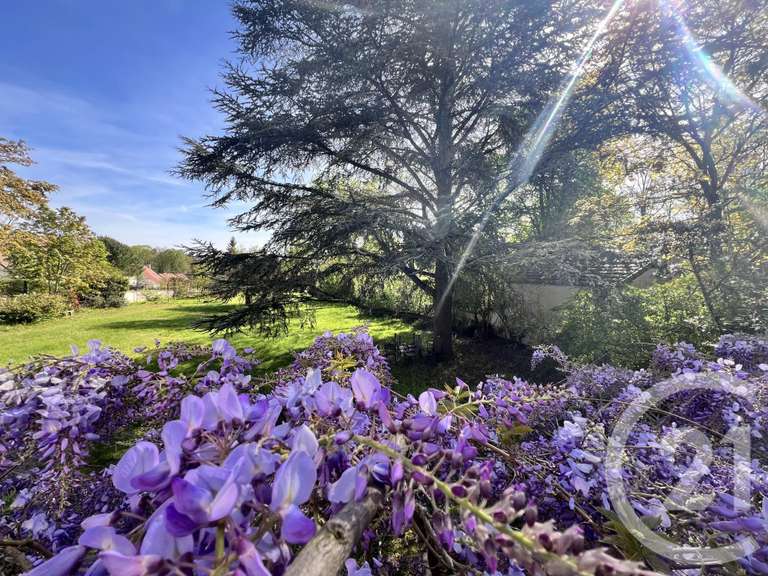 Maison Avon - 9 chambres - 275m²