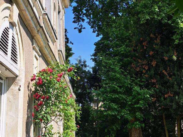 Maison Avrillé - 6 chambres