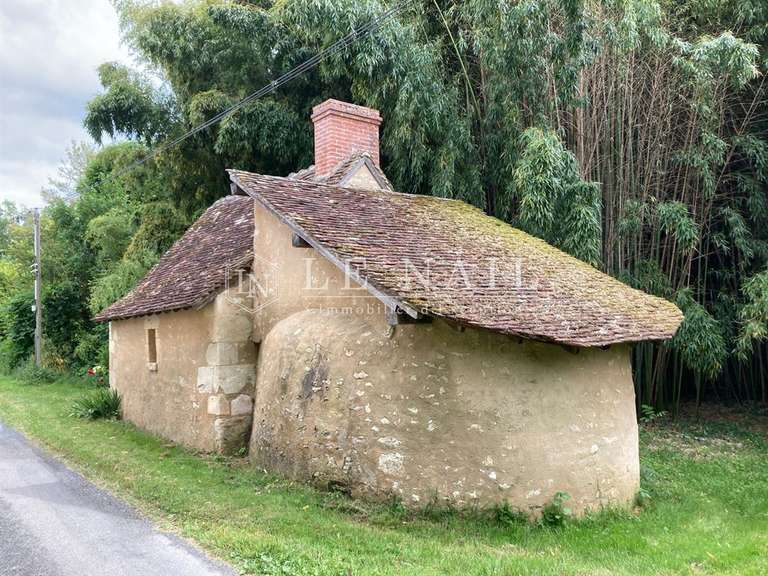 Manor Azay-le-Ferron - 4 bedrooms - 180m²