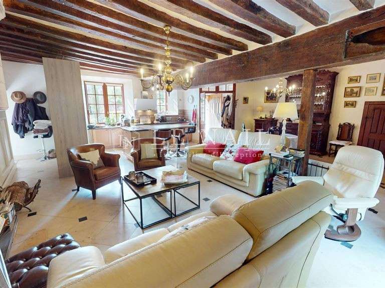 Manor Azay-le-Ferron - 4 bedrooms - 180m²