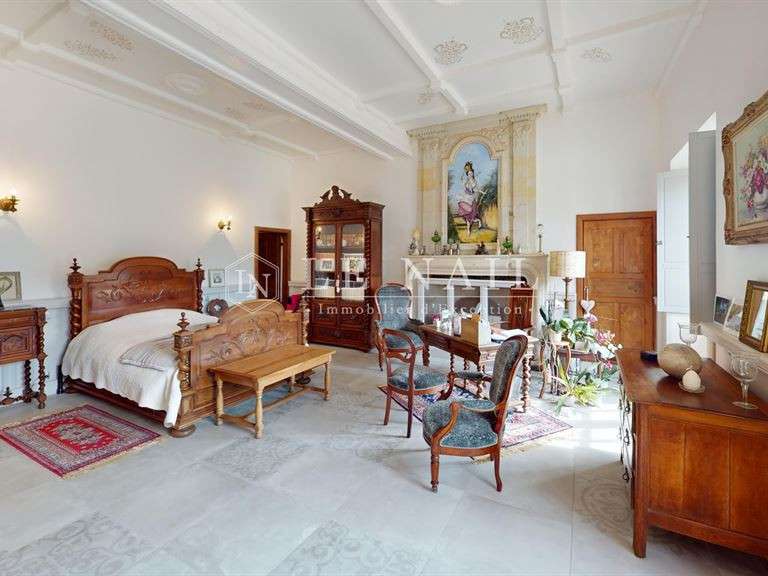 Manor Azay-le-Ferron - 4 bedrooms - 180m²