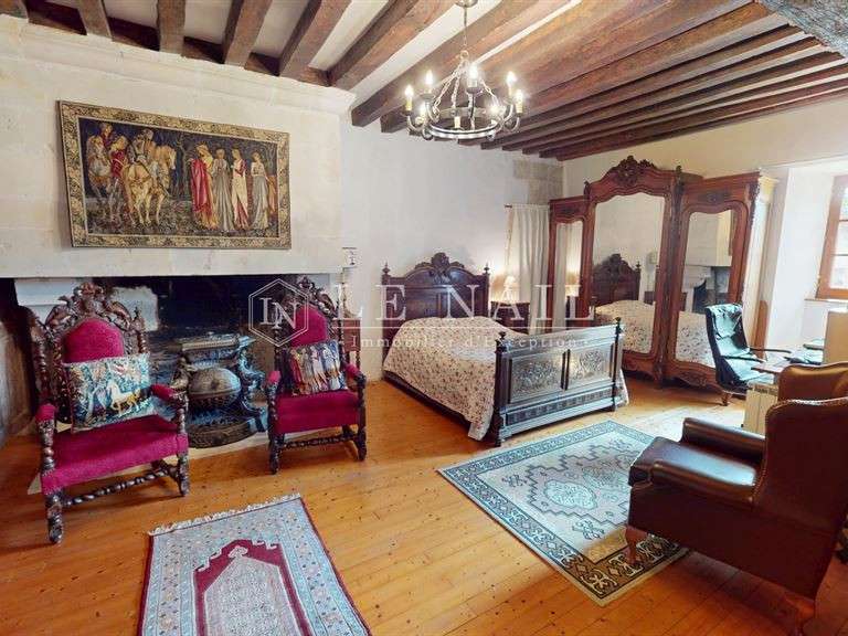 Manor Azay-le-Ferron - 4 bedrooms - 180m²