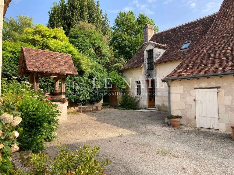 Manor Azay-le-Ferron - 4 bedrooms - 180m²