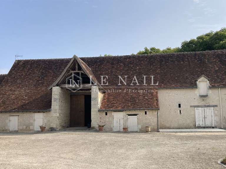 Manor Azay-le-Ferron - 4 bedrooms - 180m²
