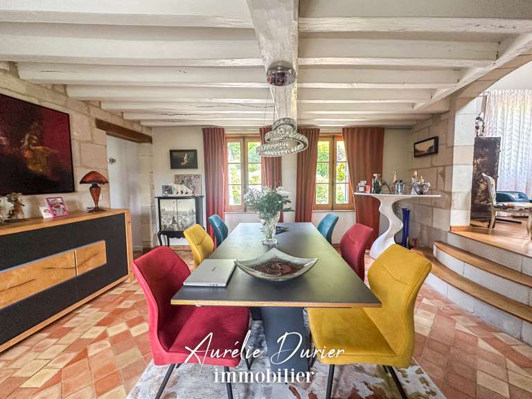 Maison Azay-le-Rideau - 7 chambres - 275m²