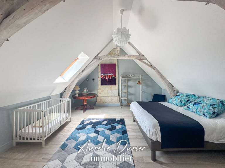 Maison Azay-le-Rideau - 7 chambres - 275m²