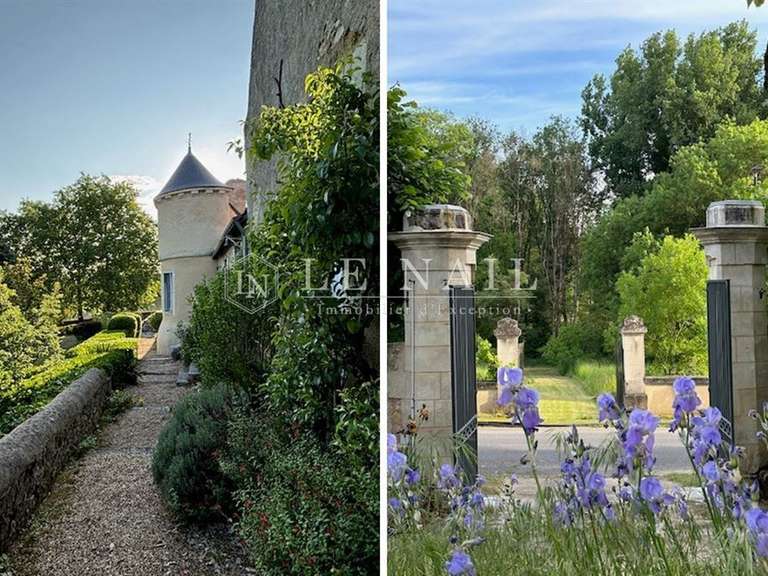 Manoir Azay-le-Rideau - 5 chambres - 800m²