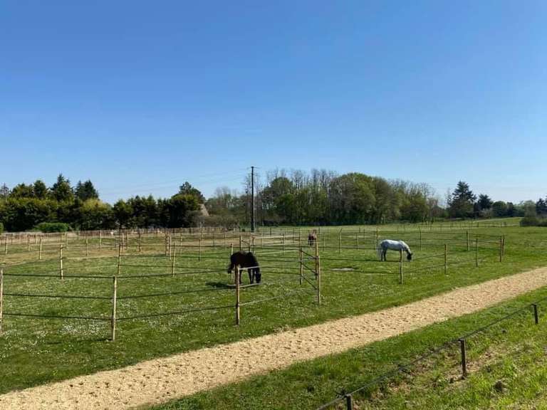 Maison Azay-sur-Cher - 270m²