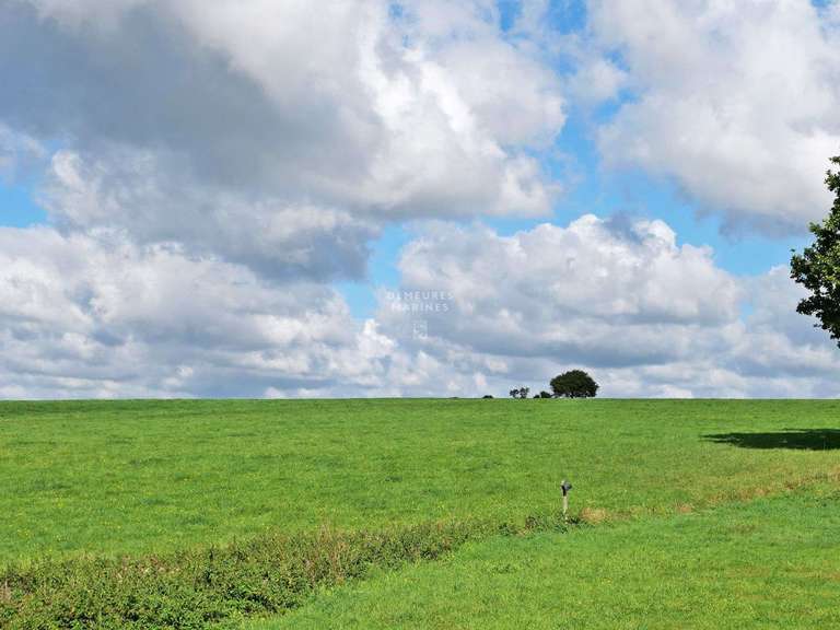 House Baden - 5 bedrooms