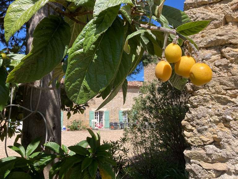 Propriété Bagard - 18 chambres - 896m²