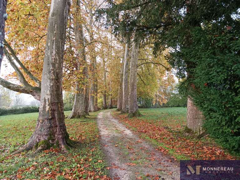 Maison Baignes-Sainte-Radegonde - 11 chambres - 608m²