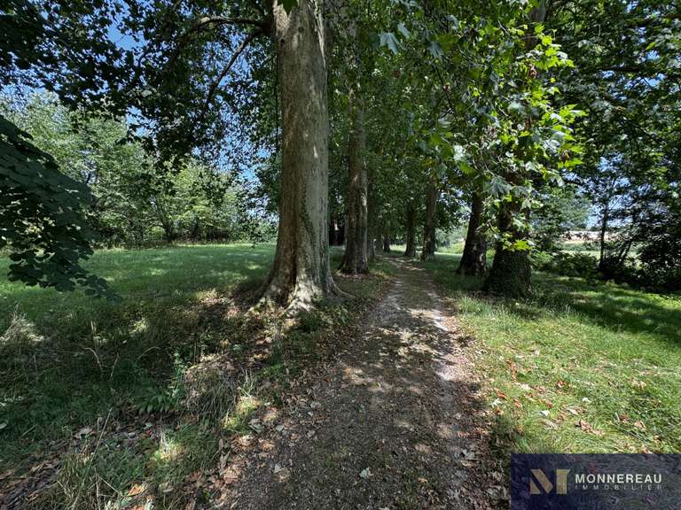 House Baignes-Sainte-Radegonde - 11 bedrooms - 608m²