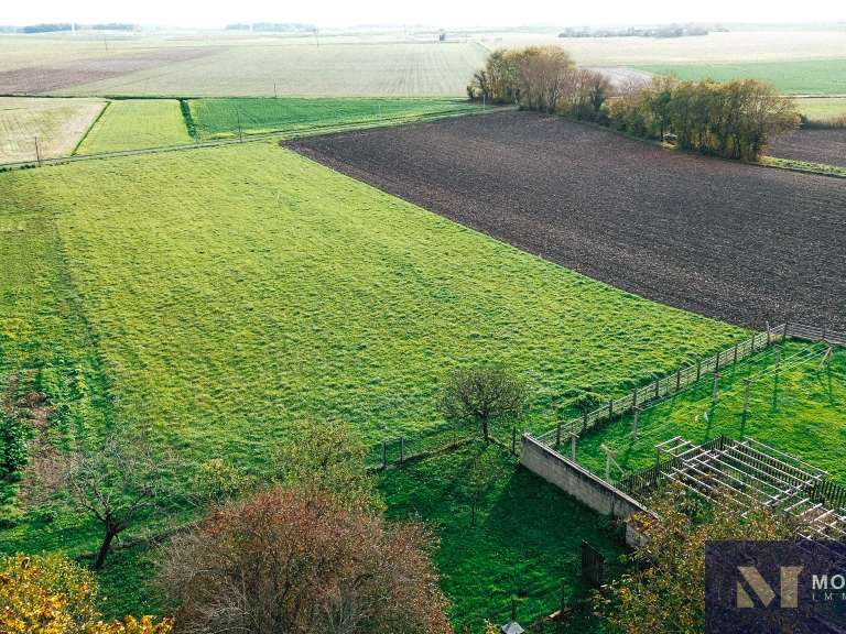 House Baignes-Sainte-Radegonde - 10 bedrooms - 425m²