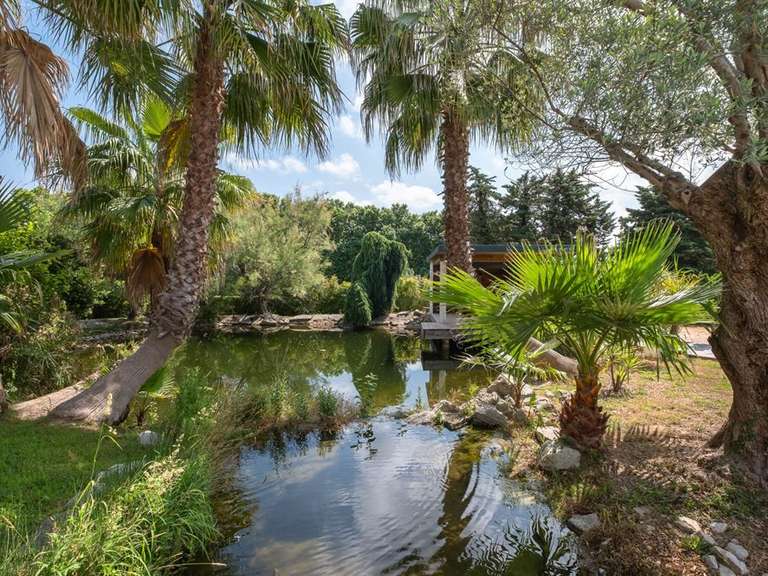 Propriété Baillargues - 8 chambres - 853m²