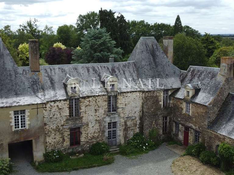 Château Bain-de-Bretagne - 7 chambres - 560m²