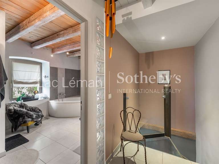 Moulin Ballaison - 3 chambres - 239m²