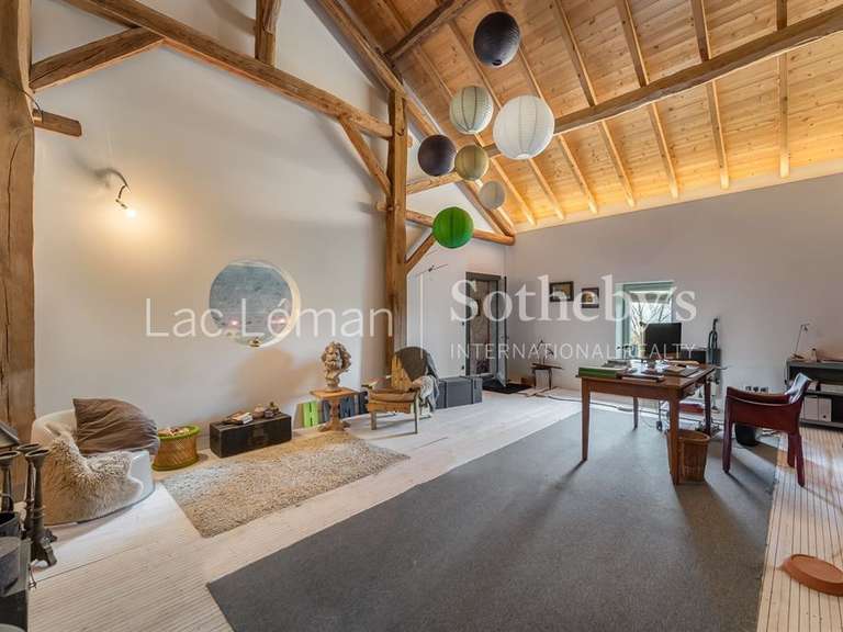 Moulin Ballaison - 3 chambres - 239m²