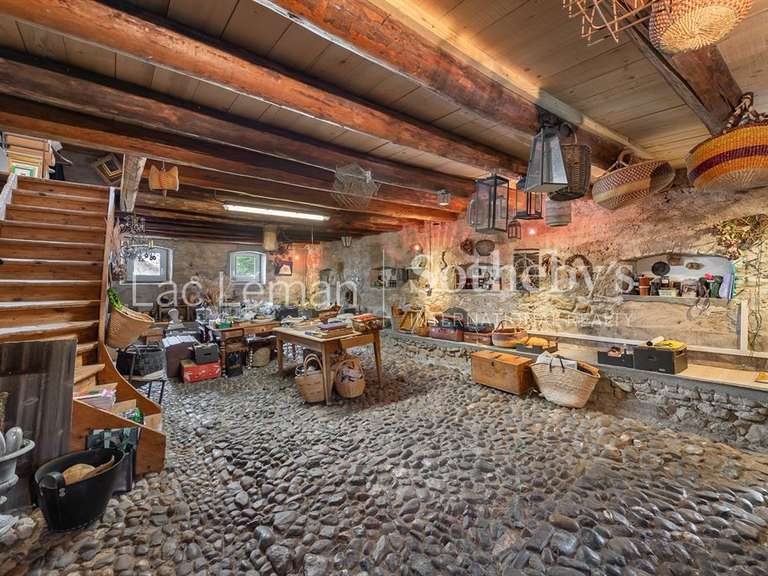 Moulin Ballaison - 3 chambres - 239m²