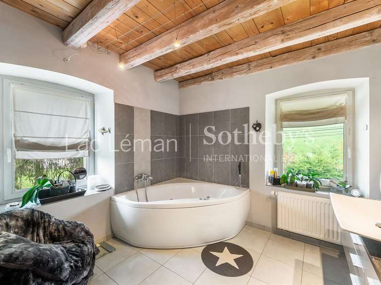 Moulin Ballaison - 3 chambres - 239m²