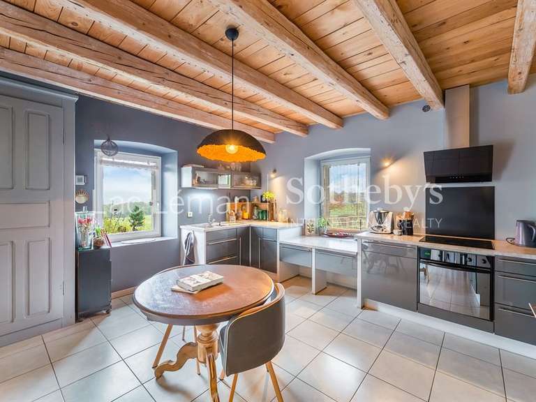 Moulin Ballaison - 3 chambres - 239m²