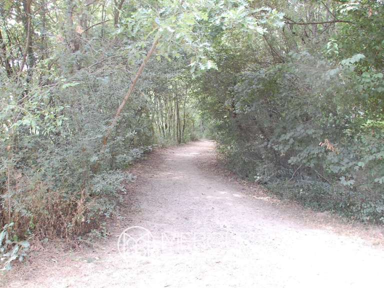 Terrain Balma - 2289m²