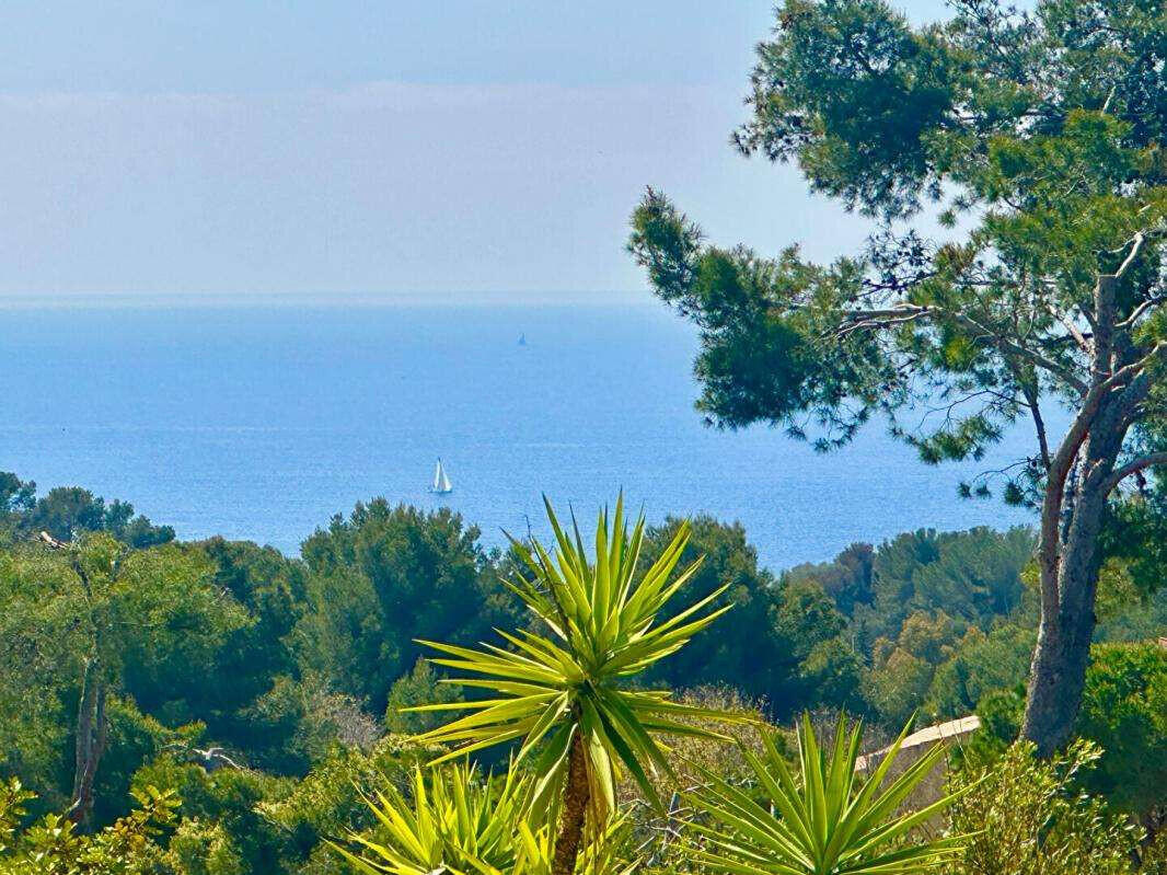 House Bandol