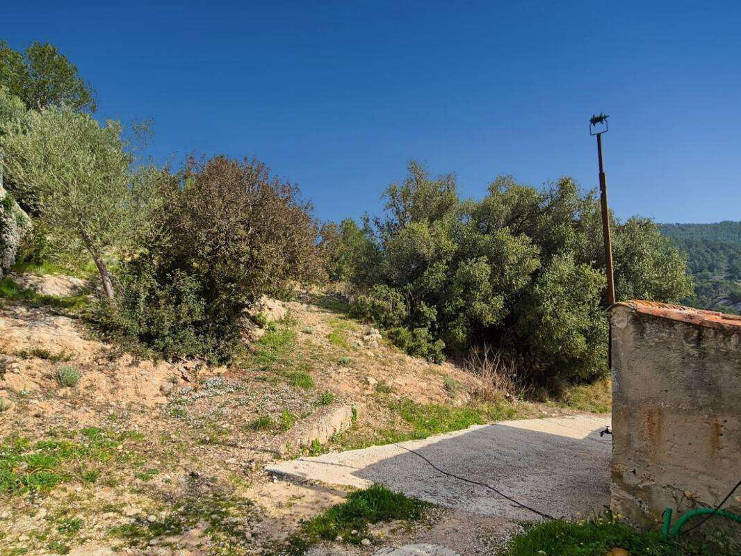 House Bandol