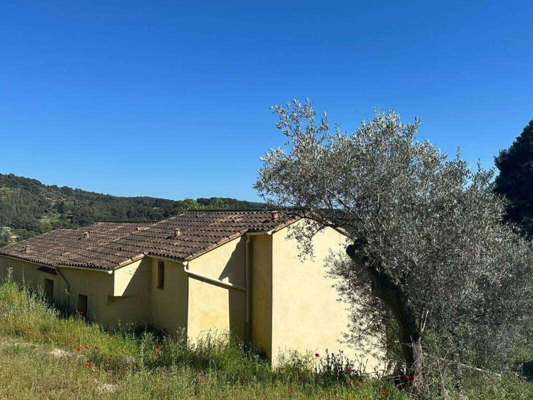 House Bandol