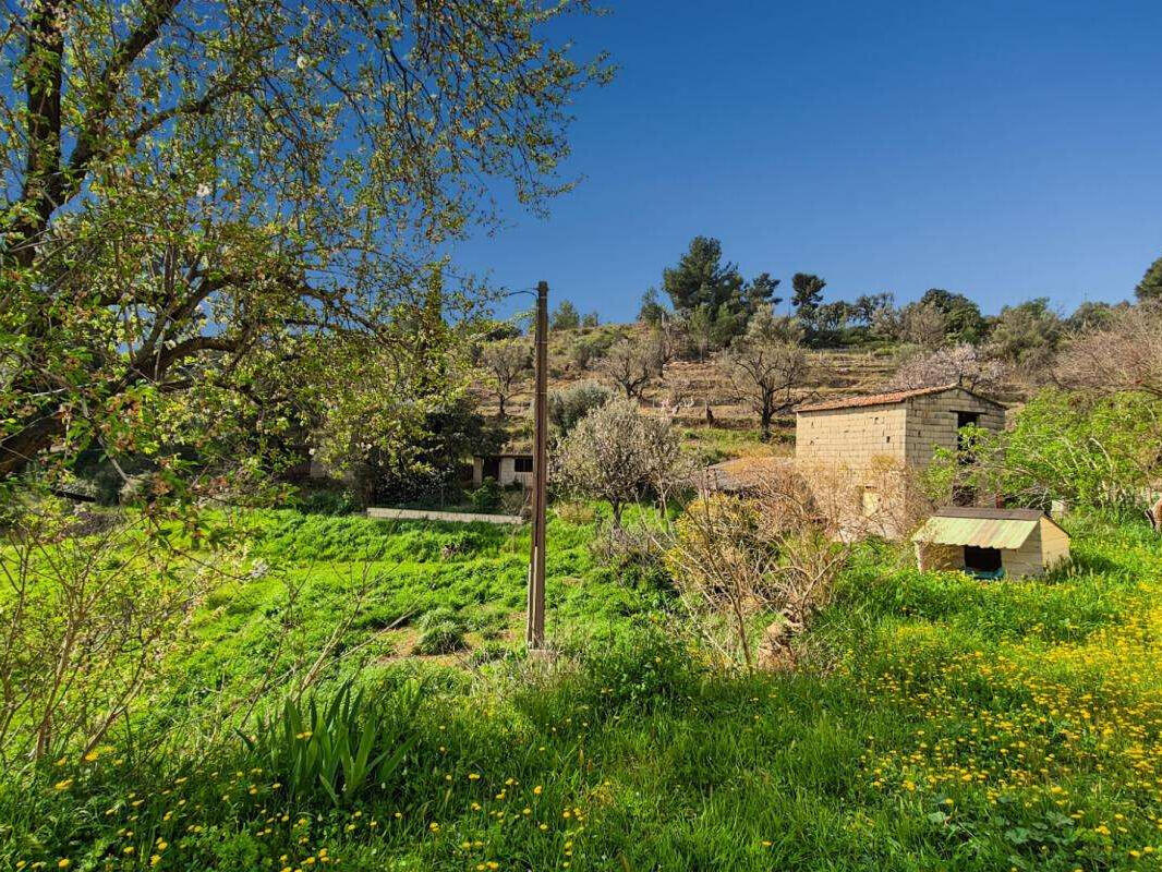 House Bandol