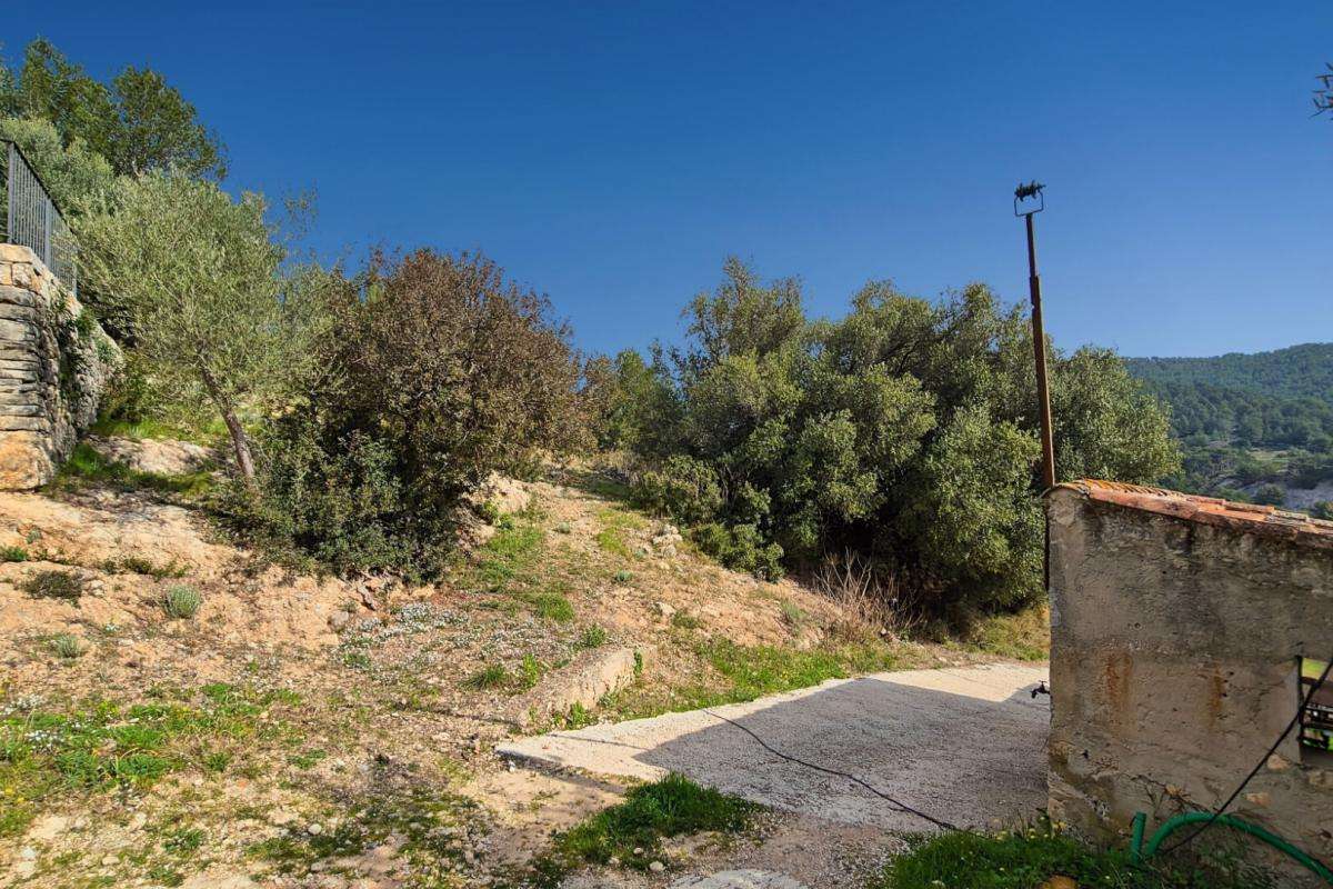 House Bandol